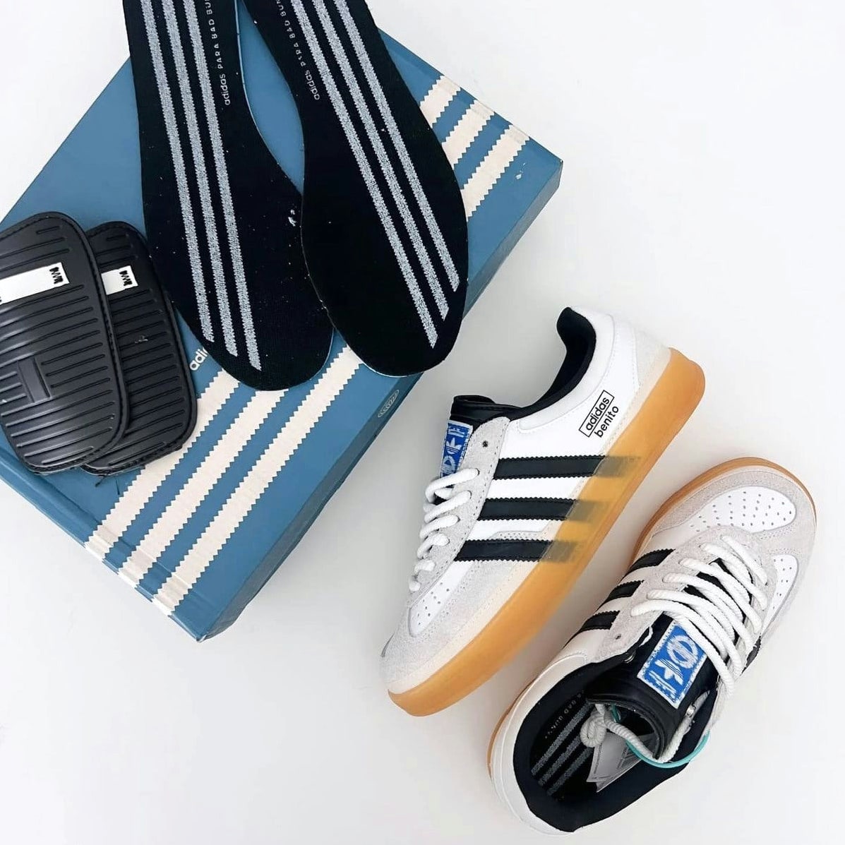 Gazelle Indoor 'Benito'